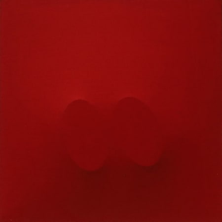 Turi Simeti — Senza titolo